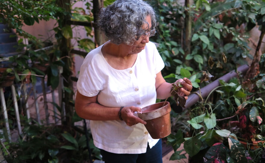 The lack of running water has forced Sonia Palacios to stretch every drop of water she gets. Often that means not watering her plants. It breaks her heart.