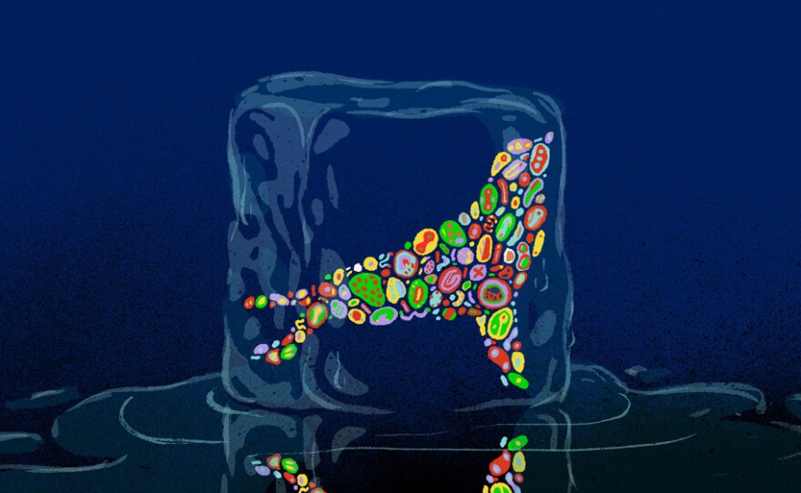 Are There Zombie Viruses In The Thawing Permafrost?