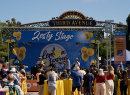 29th Annual Lemon Festival