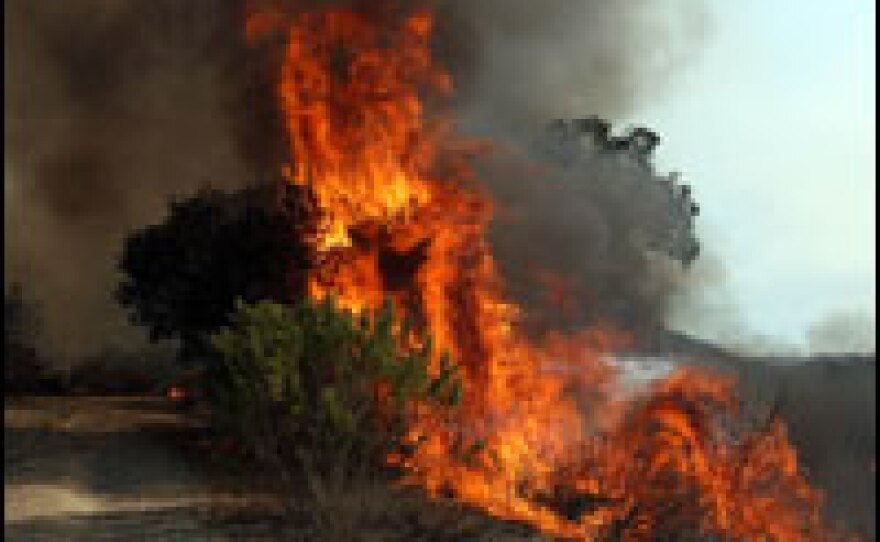 A back fire burns near Live Oak Canyon Road, where homes are threatened by the Santiago fire, in Irvine, California.