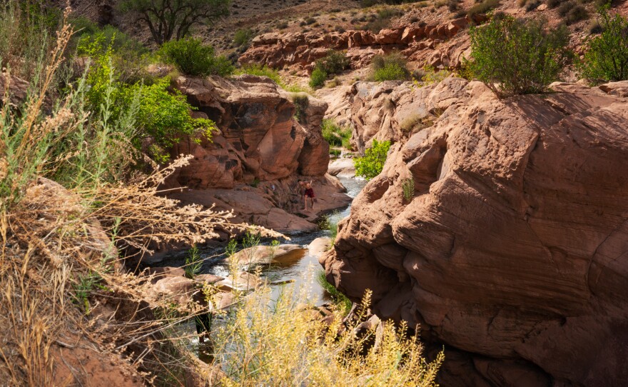 Tourists frequent swimming holes along a federal Bureau of Land Management trail east of Moab.