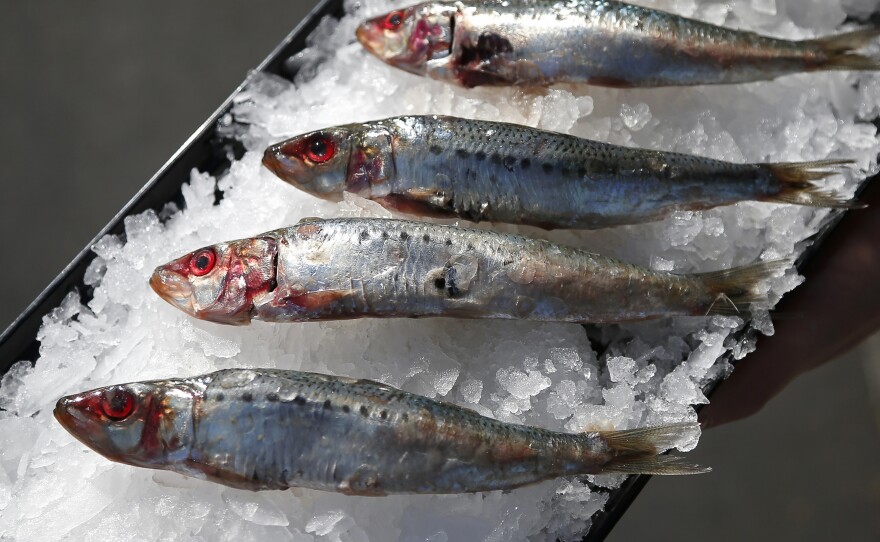 A tray of sardines in Costa Mesa, California, in this November 17, 2014 photo. Plummeting sardine populations force a complete ban on sardine fishing off the U.S. West Coast for more than a year.