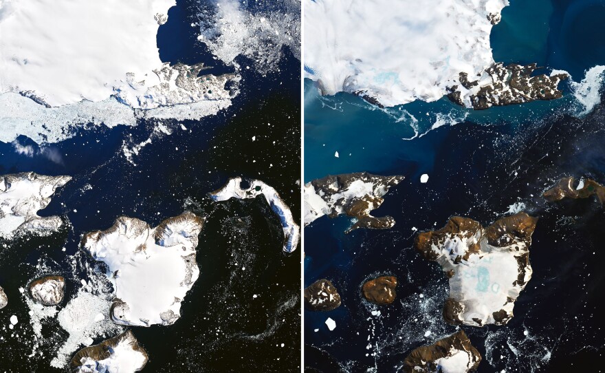 Satellite images show the effects of a prolonged warm spell on Eagle Island, in the far north of the Antarctic Peninsula, NASA says. An inch of snowpack melted in just one day, the agency says. The blue areas in snow on the right are ponds of melted water.