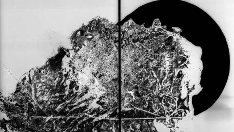 "No. 42 (Emphasis), 2016," by Claire A. Warden, piezography pigment print, is part of the SDSU Art Gallery's new virtual exhibition, "Upon Closer Inspection," on view now through March 31, 2021.