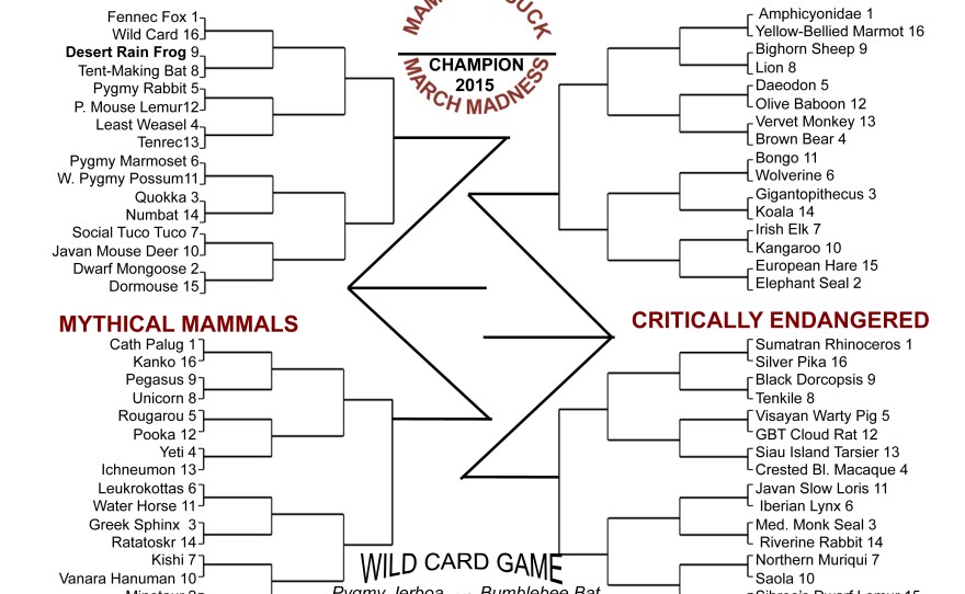 This year's tournament features divisions with pygmy animals; mammals shaped by sexual selection; creatures from human folklore; and mammals from the International Union for the Conservation of Nature's list of threatened species. Download this bracket, fill it out and follow your picks through the tournament. (We're rooting for the wolverine.)