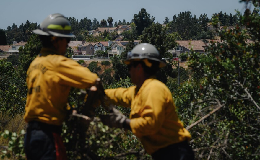 Firefighters with Chula Vista’s new fuels crew clear a section of overgrown lemonade sumac in the canyon next to Kumeyaay Park on June 25, 2024. The three-year program was launched in 2023 and is focusing on the most dangerous canyons.
