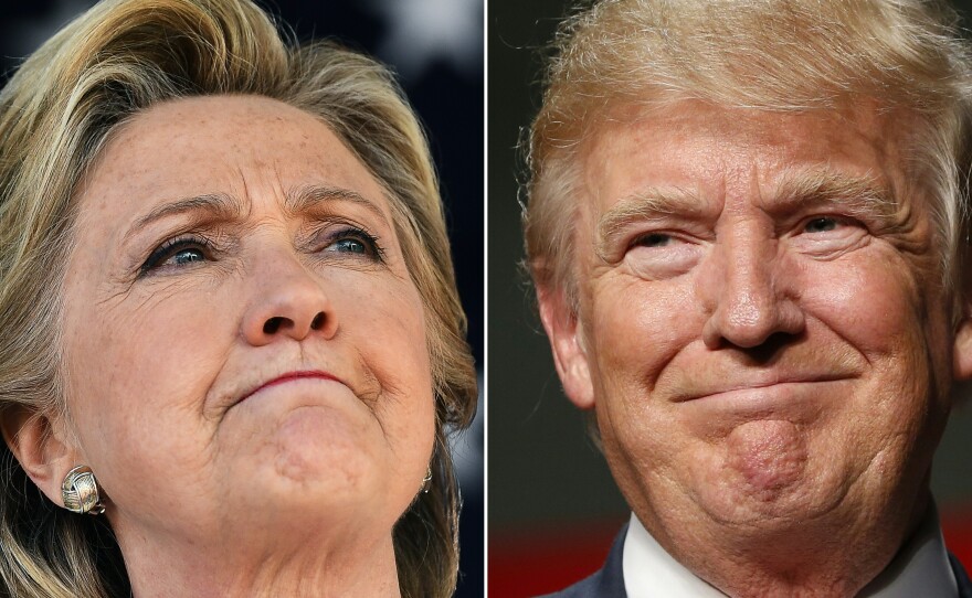 Democratic presidential nominee Hillary Clinton in Dade City, Fla., Nov. 1, and Republican nominee Donald Trump in Warren, Mich., Oct. 31, 2016.
