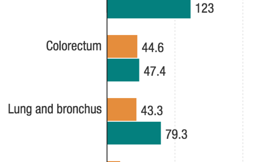 Rates are per 100,000 and age-adjusted to the 2000 US standard population.