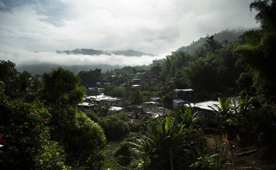 The view from Torres' house in the mountains of Utuado, Puerto Rico.