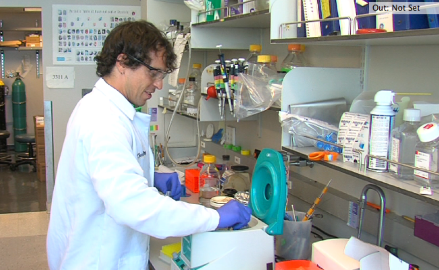 Cosmo Buffalo, a Ph.D. student at UC San Diego, works in his research lab, August 20, 2015.