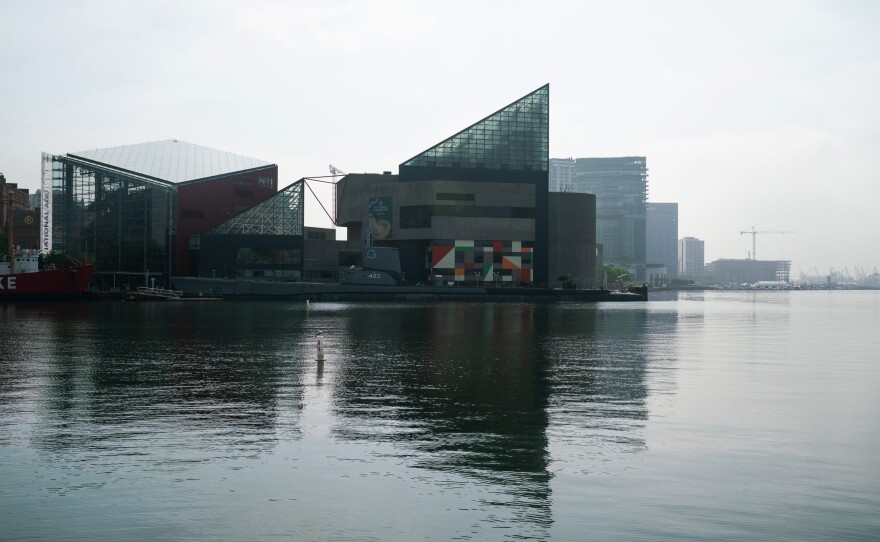 The National Aquarium in Baltimore is located right on the city's Inner Harbor.