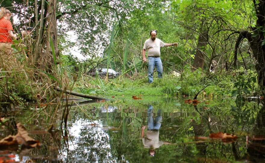 Dr. Richard Niesenbaum and his assistant, Muhlenberg student Lindsay Press, investigate a roadside pond near Cedar Creek in Allentown.