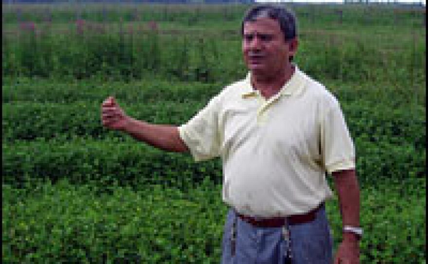 Father Edilberto Sena says monoculture crops, in which a single crop is grown, pose severe problems for the Amazon's complex ecosystem. A tireless campaigner on behalf of the landless, the indigenous and the poor, he calls cattle, mining, soy and timber the "four enemies of the Amazon."