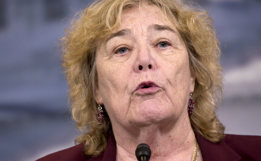 Rep. Zoe Lofgren, D-Calif., says the H-1B program needs a broad reform, including changes to the lottery process that awards the visas.