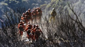 In this photo provided by the Santa Barbara County Fire Department, CAL FIRE Inmate Firefighting Hand Crew members hike through the charred landscape on their way to work east of Gibraltar Road above Montecito, Calif., Tuesday, Dec. 19, 2017.