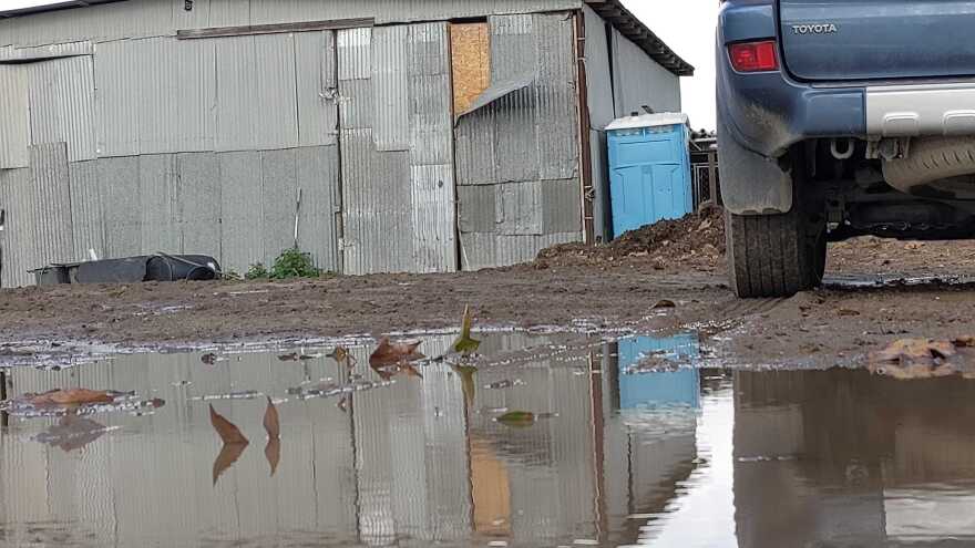 Mud, puddle and a partially stripped lamina on a barn at Surfside Ranch following a storm, Jan. 17, 2023.