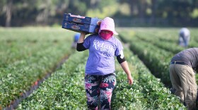 Farmworkers are honored at the 2020 Hispanic Heritage Awards.