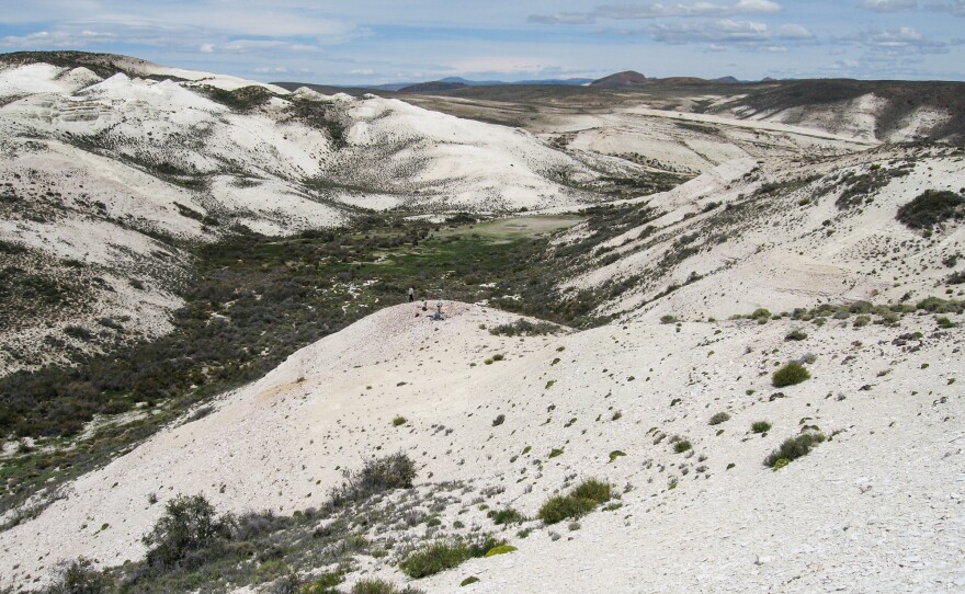 The Laguna del Hunco fossil site in Chubut, Patagonian Argentina. Workers here are collecting abundant and diverse plant fossils.