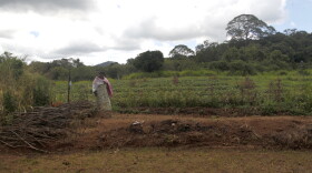Fields in central Sri Lanka. Farmers say they are planting less crops because the price of fertilizer has risen because of the Mideast war, alongside the price of fuel they need to plough and harvest their lands.