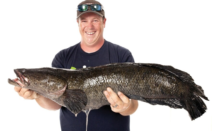 Caleb Newton, who lives in Spotsylvania County, Va., holds the 17-pound, 6-ounce northern snakehead fish he caught in June. The International Game Fish Association has approved a world record for his catch of the invasive predator.