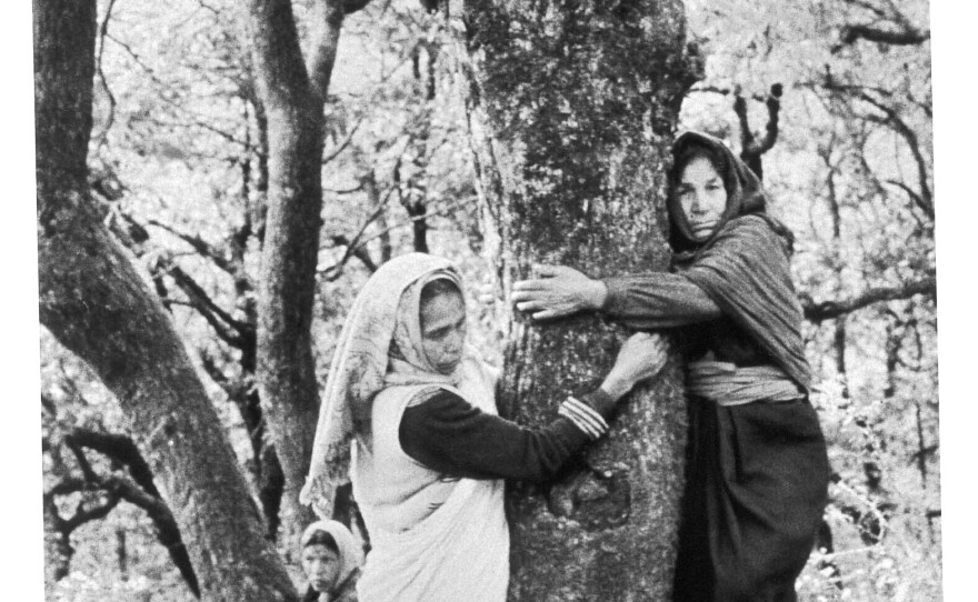In 1973, the Chipko movement in India coined the term "tree-hugger." Rural villagers in the Himalayas, protesting the logging of hornbeam trees, were inspired by Gandhian nonviolent social action and threatened to hug the trees to protect them.