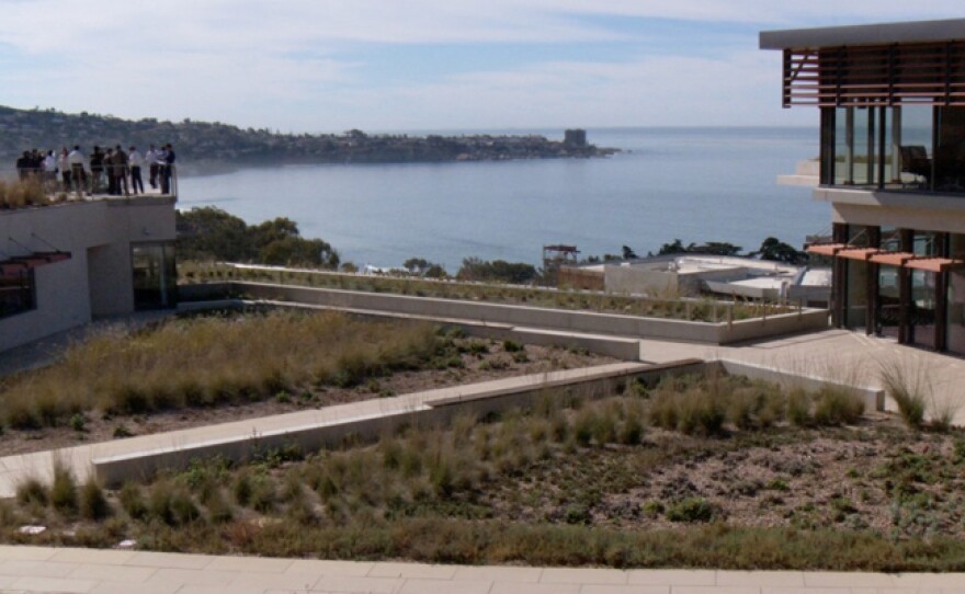 NOAA Sustainable Fisheries green roof.