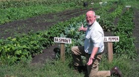 Vice President Kerry Rhodes kneels alongside Midwest Control Products' 2-acre garden. The company has put employees to work in nontraditional ways in order to prevent layoffs.
