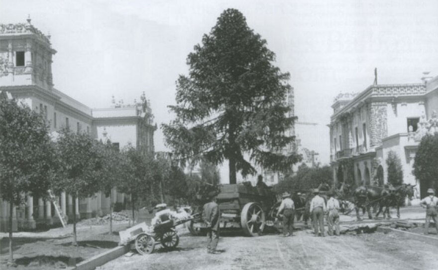 Tree move.
