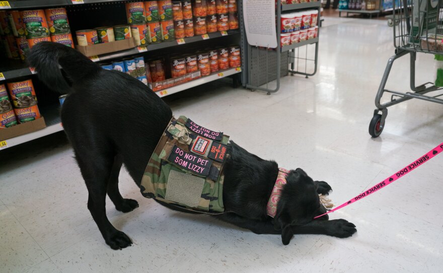 Lizzy picks up Michel's keys in the grocery store. Not all psychiatrists think service dogs are the best treatment for PTSD.
