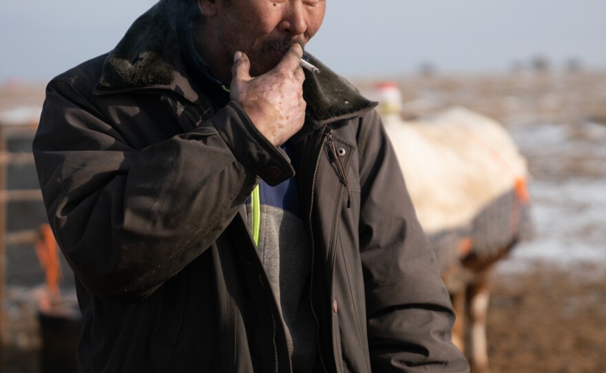 Otgonduu Khuudeg, 51, stands outside his home in the South Gobi. The herder has watched the pastureland change as the mining industry has grown. Six of his camels were killed by passing trucks.