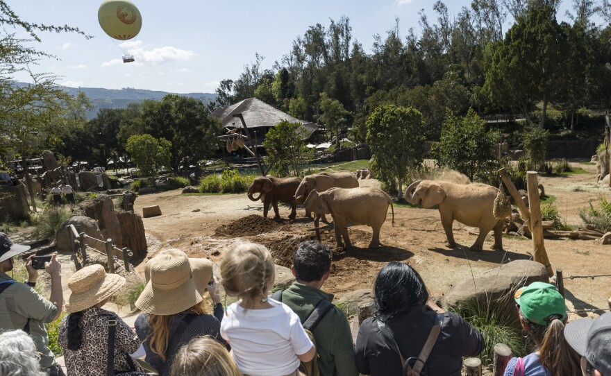 The image is a photograph of people overlooking elephants at the San Diego Zoo Safari Park on March 5, 2026.
