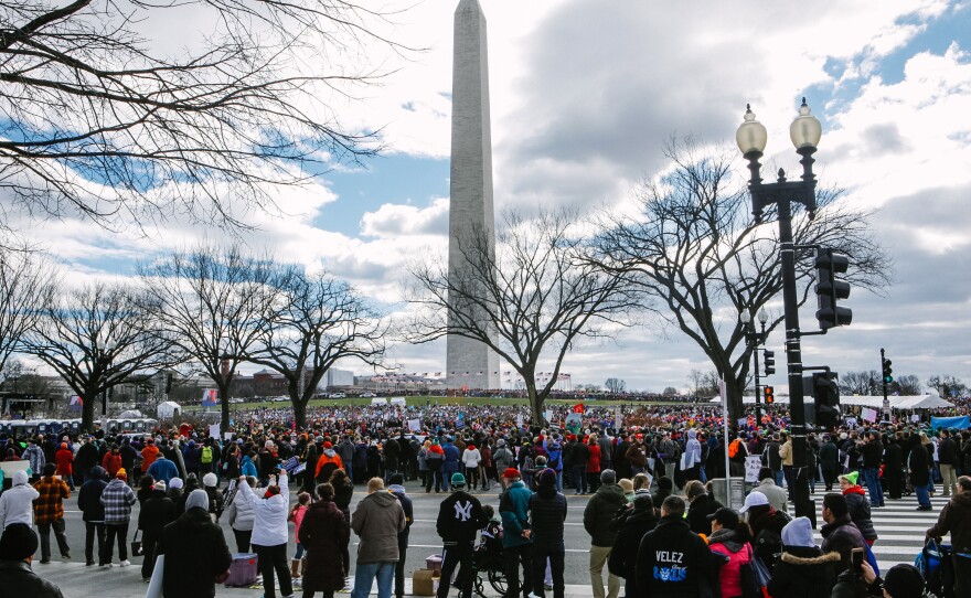 Crowds gathered along the National Mall for the 44th annual March for Life.