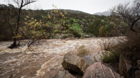 The San Diego River at Mission Trails Park following this week's rain, Jan. 7, 2016.