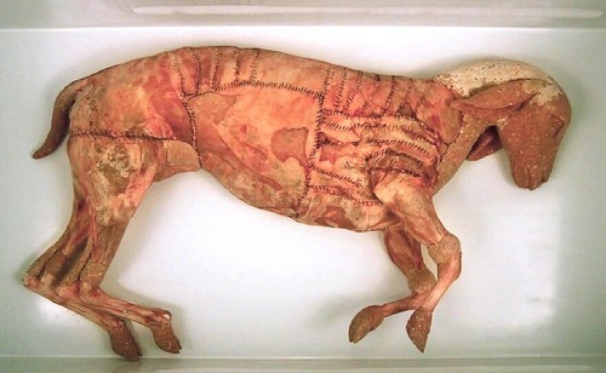 Adey made "The Lamb" in graduate school out of lamb meat.