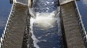 Water flows into a sewer line. 