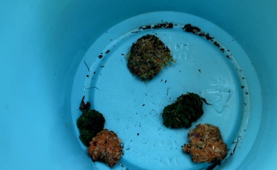 Donna Kent provided examples of bat pancakes, it is what is left behind after fruit bats extract all of the juice and fluid from their food, and then spit out the fiber. Oct. 22, 2025