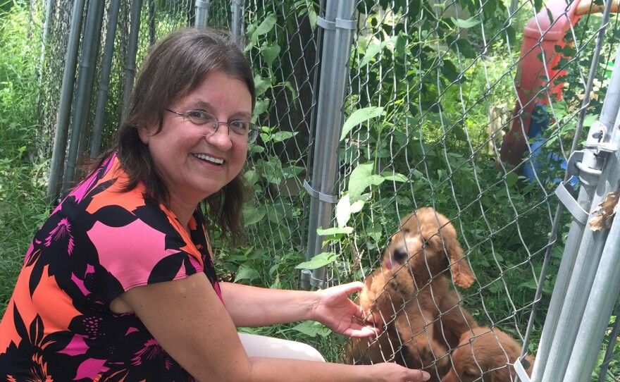 Illinois delegate Rita Gaus at home in Buckingham with the goldendoodles she raises. Gaus was surprised at how much it costs to attend the Republican National Convention.