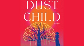 "Dust Child" is the new novel by Nguyễn Phan Quế Mai.