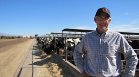 Ross Tappan used to manage a dairy in Mesa, Ariz., that switched to using E-Verify.
