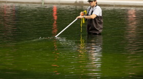 A National Park Service employee uses a vacuum to clean the Lincoln Memorial Reflecting Pool. (AP Photo/Mark Schiefelbein)