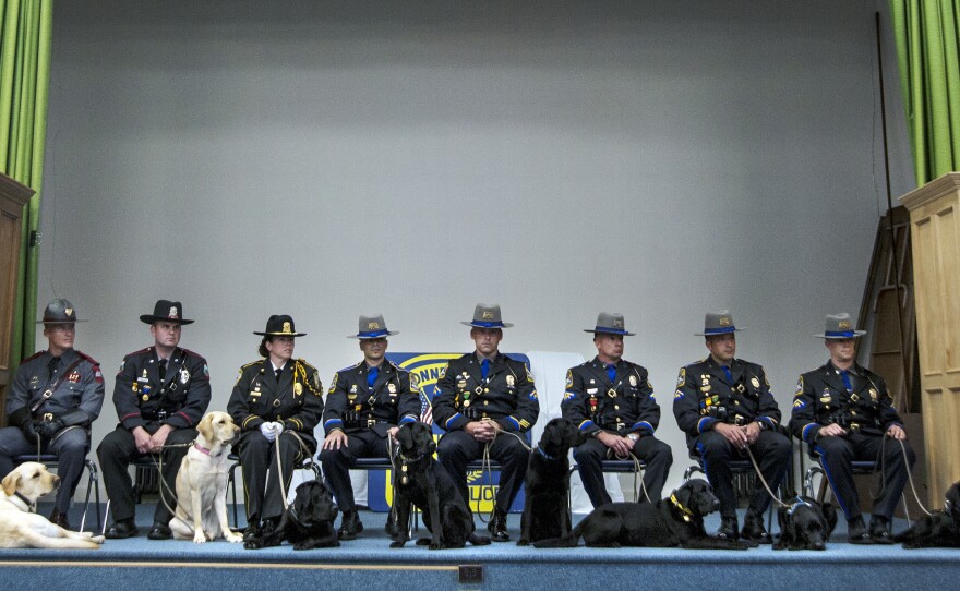 In June, the 167th Patrol Dog Class graduated from their canine narcotics and electronic media detection training, held by the Connecticut State Police Canine Unit. At far left is Thoreau, who now helps police in Rhode Island find computer hard drives.