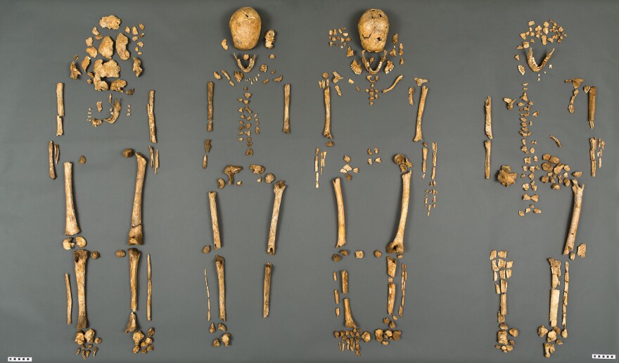 A team of scientists from the Smithsonian's National Museum of Natural History and Jamestown Rediscovery announced the identities Tuesday of the Rev. Robert Hunt, Capt. Gabriel Archer, Sir Ferdinando Wainman and Capt. William West. The long-dead men were leaders who helped shape the future of America during the initial phase of the Jamestown settlement in the early 1600s.