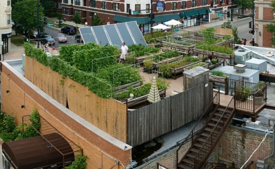 Uncommon Ground, a