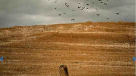 "Lost Girls" by author Caitlin Rother.