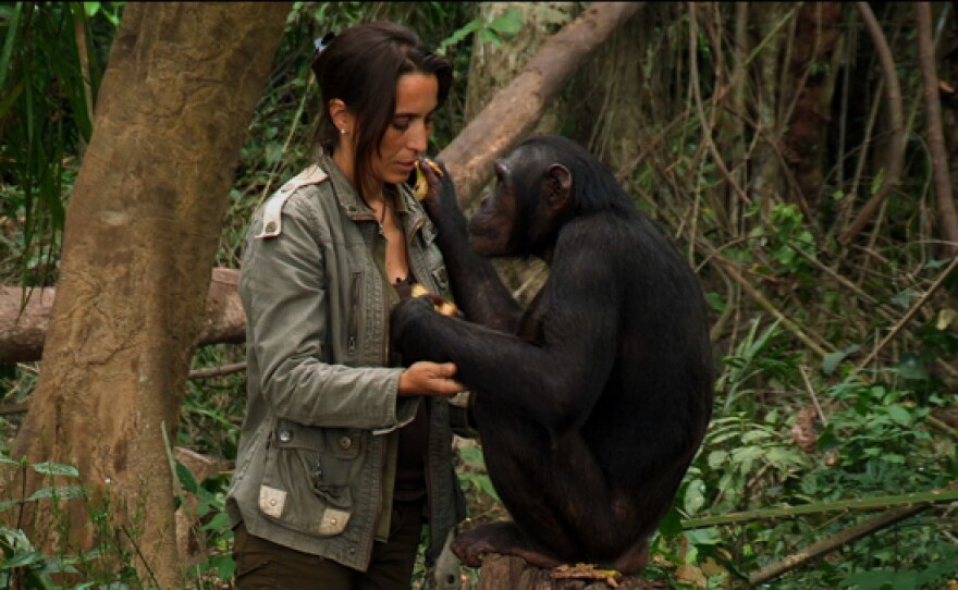 Dr. Rebeca Atencia and Kudia at the Tchimpounga Chimpanzee Rehabilitation Center, Republic of Congo.