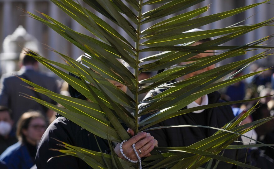 Nuns hold palm tree branches at St. Peter's Square as part of the celebration of the Palm Sunday Mass.