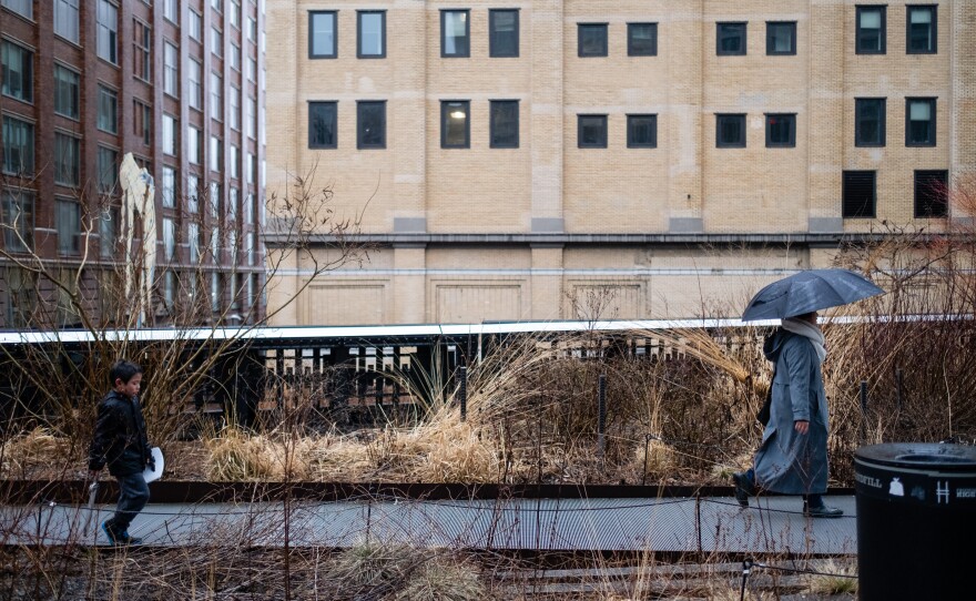 Hayle sulks and walks behind Thu on the High Line in New York City on Jan. 25, 2020.