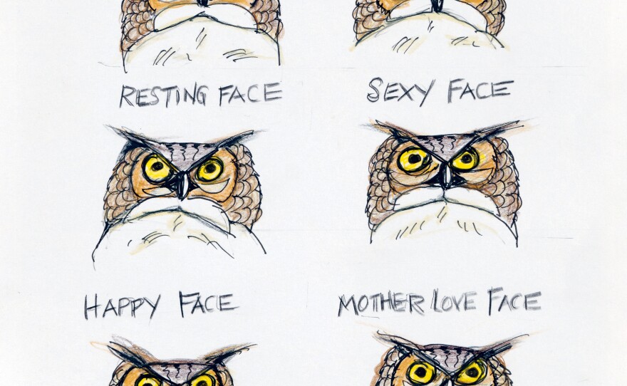 Sketches of Great Horned Owls from Amy Tan's new book, <em>The Backyard Bird Chronicles</em>.