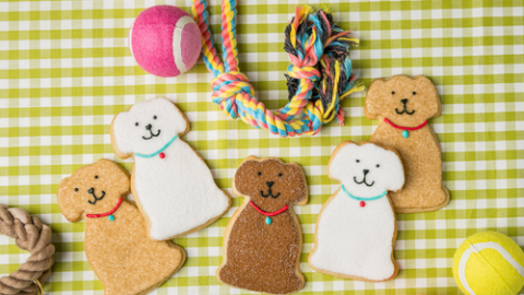 SusieCakes Dog Days of Summer Fundraiser