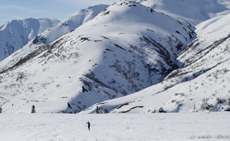 Sam Sterling skis over a crusty layer of snow in the mountains off the Denali Highway in Interior Alaska this month.
